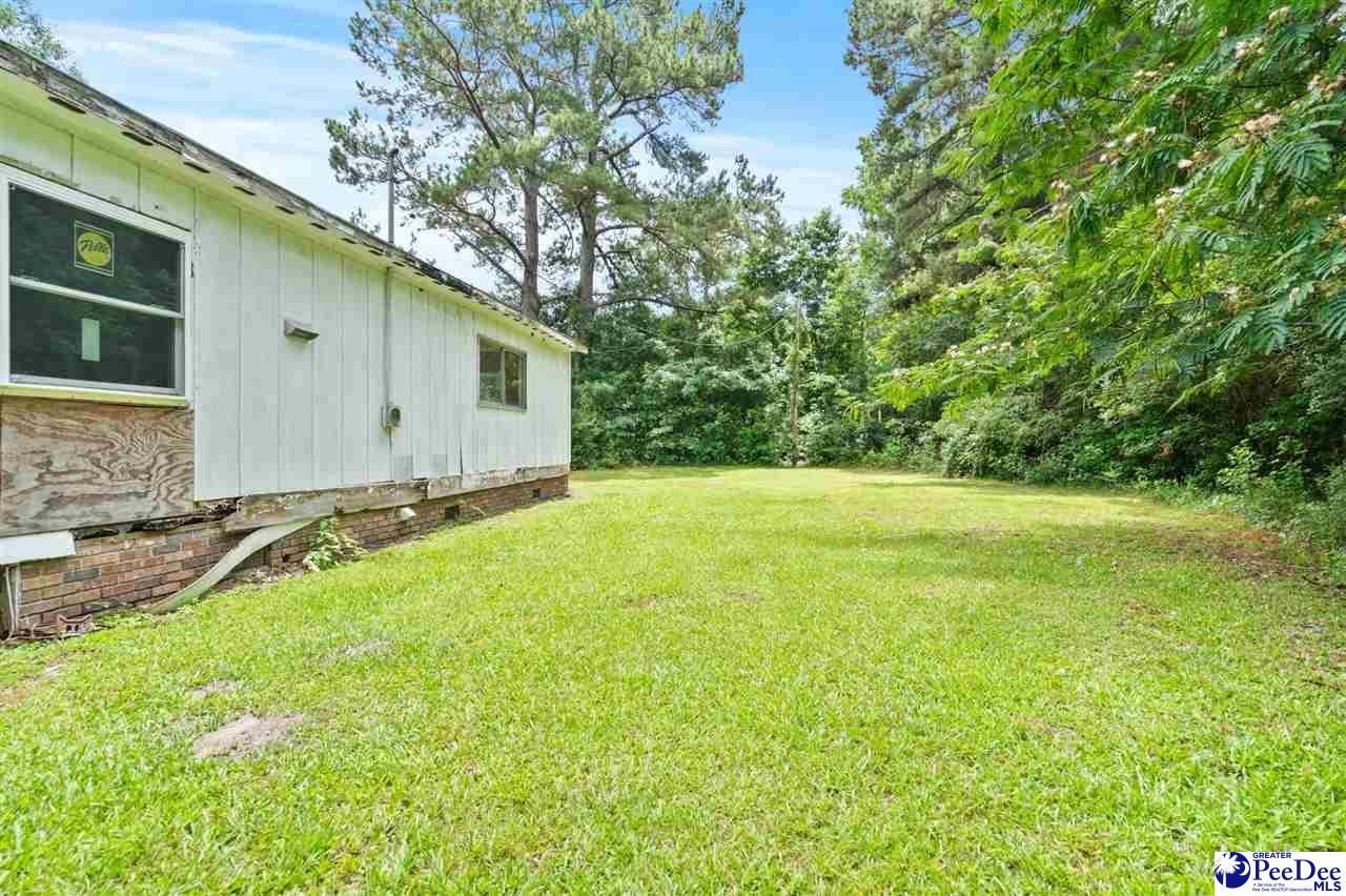 173 Kiwi Rd Photo 11