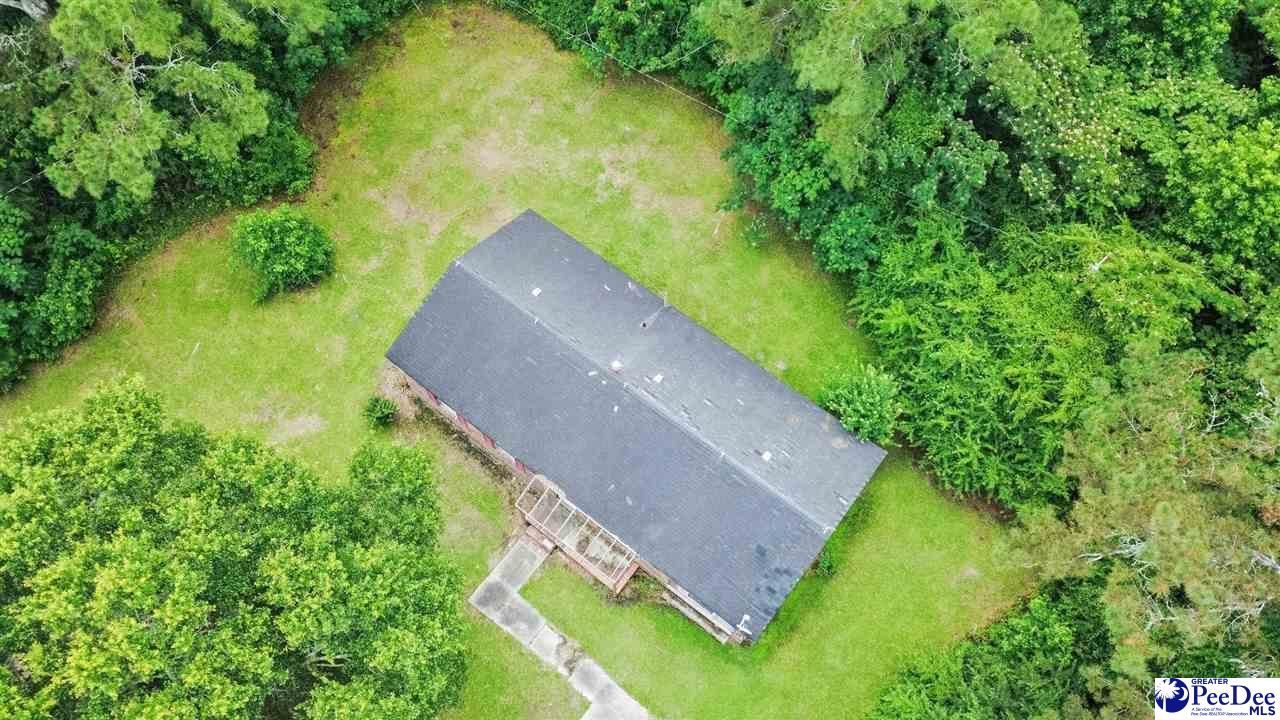 173 Kiwi Rd Photo 12