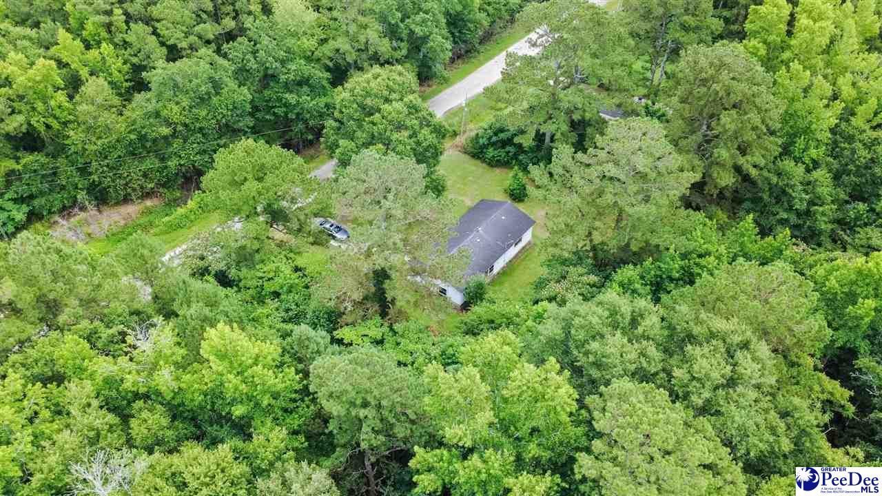 173 Kiwi Rd Photo 13