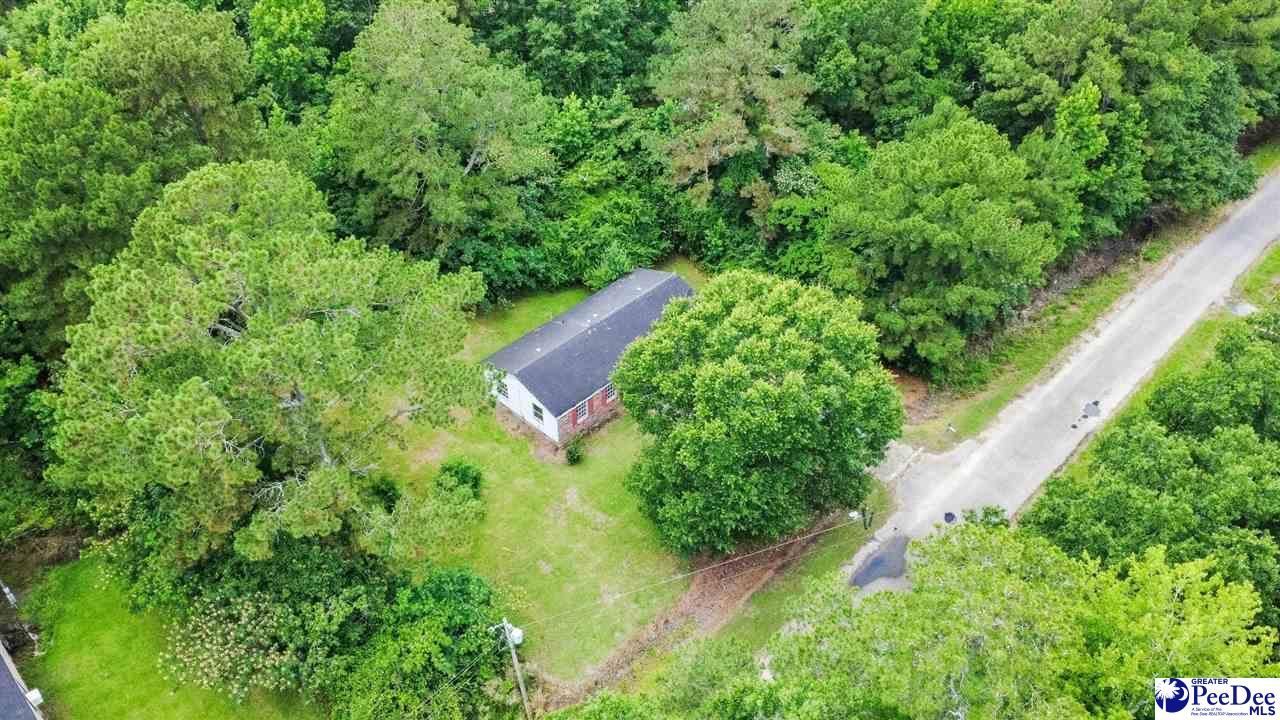 173 Kiwi Rd Photo 15