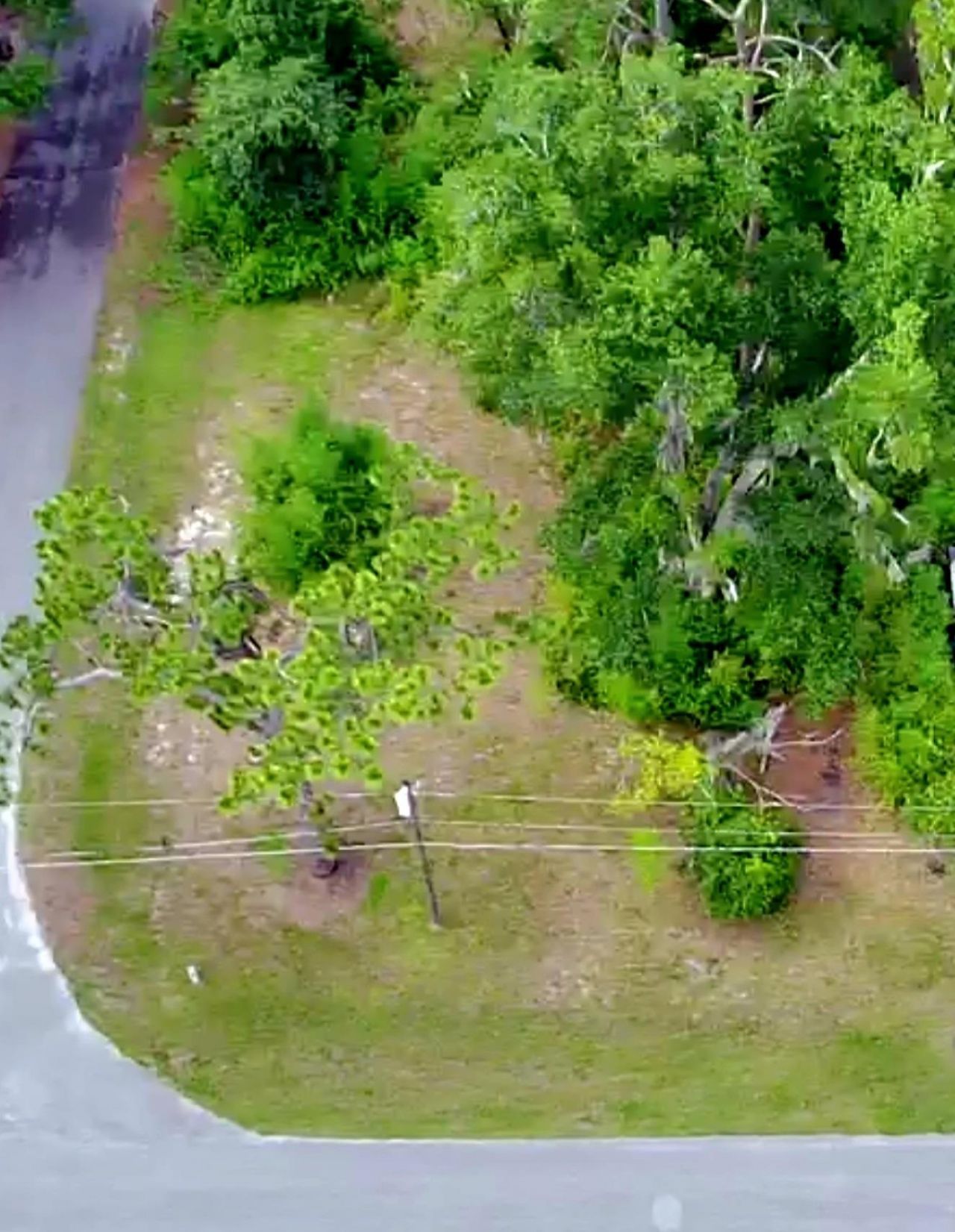 Lot 1 N Washington Street , Perry, FL 32347 Photo