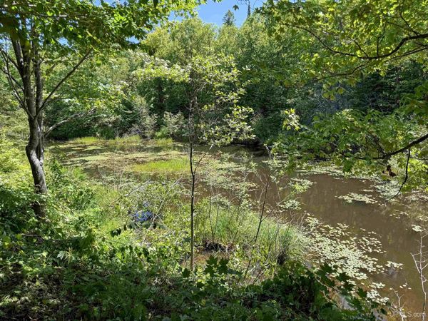 Lot 3 East Off Hwy M-64 Highway, Carp Lake Twp, MI 49953