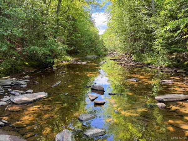 Lot 3 West Off Hwy M-64 Highway, Carp Lake Twp, MI 49953