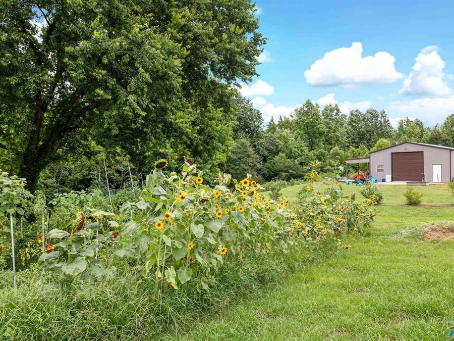 Property Image 43