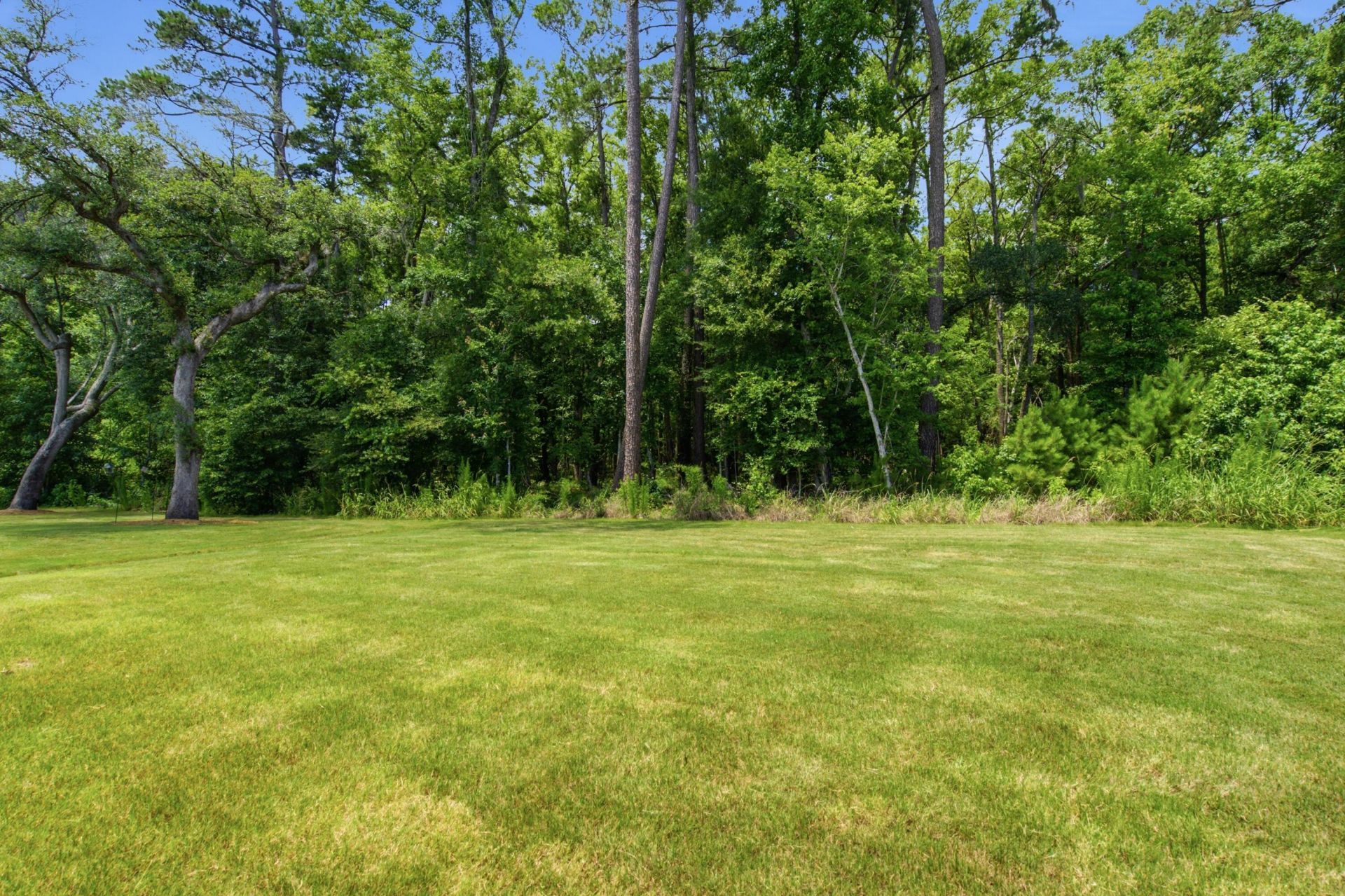 1022 Grace Field Avenue Photo 36