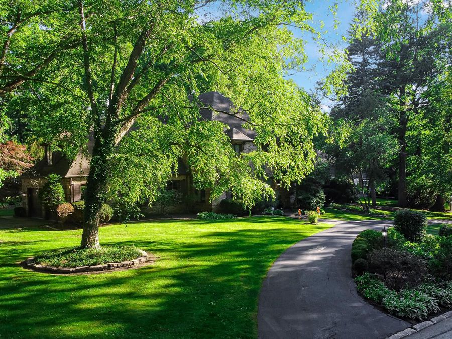Property Image 45