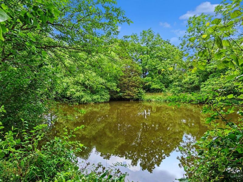 2544 Swings Corner Pt Isabel Road, Tate Township, OH 45106 Photo 35
