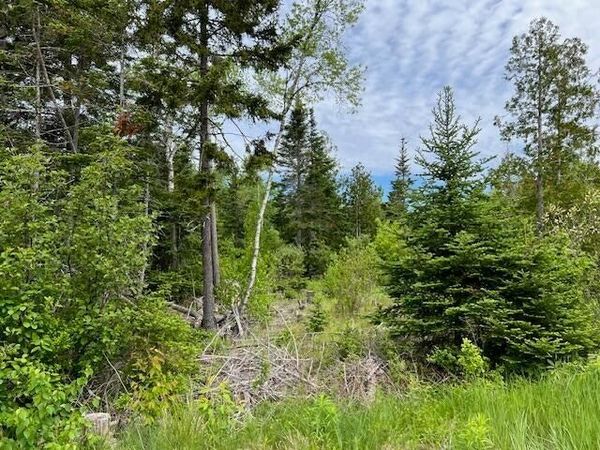Lot 29-001 Fifth Avenue , Pembroke, ME 04666