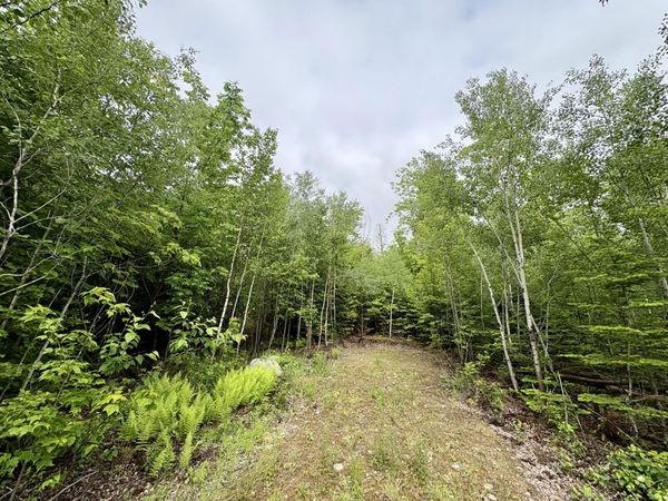 Lot 4 Mt. Jefferson Heights , Lee, ME 04455