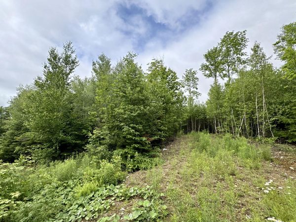 Lot 5 Mt. Jefferson Heights , Lee, ME 04455