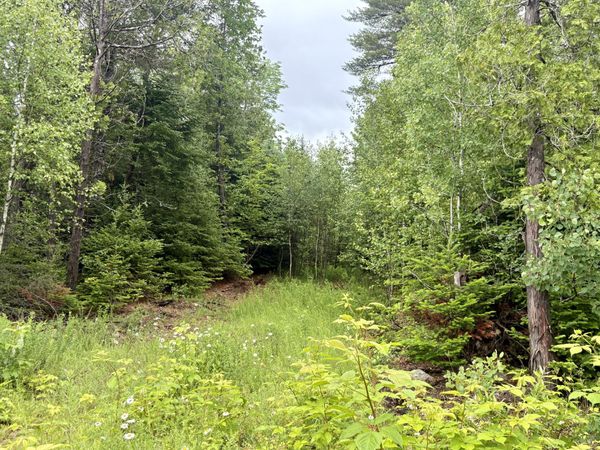 Lot 3 Mt. Jefferson Heights , Lee, ME 04455