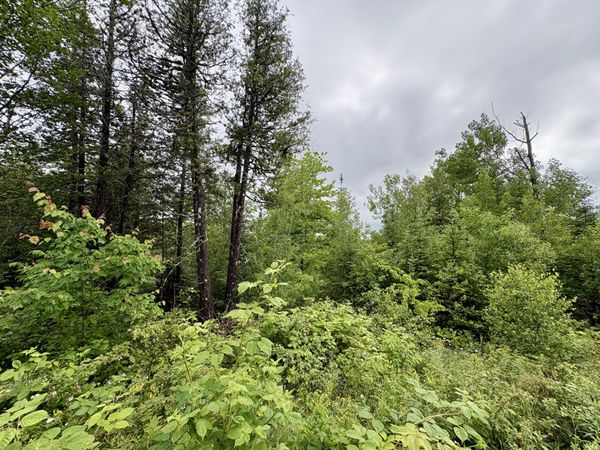 Lot 12 Mt. Jefferson Heights , Lee, ME 04455