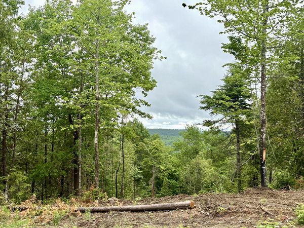 Lot 13 Mt. Jefferson Heights , Lee, ME 04455