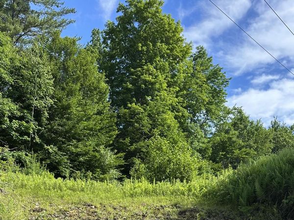 Lot 020 Canton Mountain Road , Jay, ME 04239