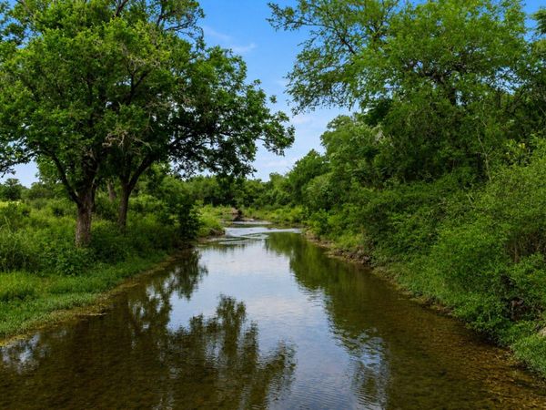 14440 Nutty Brown RD, Austin, TX 78737