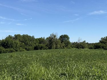 7825 Mount Carmel Road, Flemingsburg, KY 41041