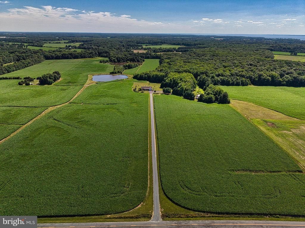 11500 POSSUM HOLLOW ROAD , WORTON, MD 21678