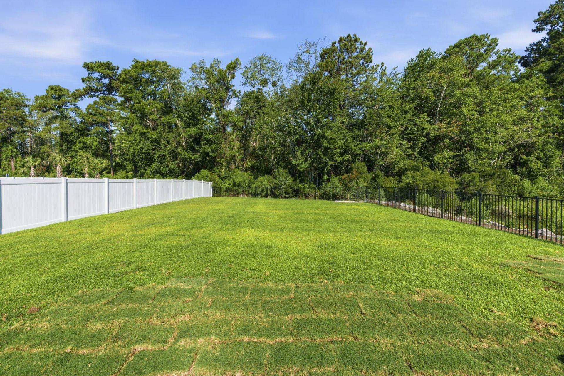 450 Rose Fountain Dr. Photo 51