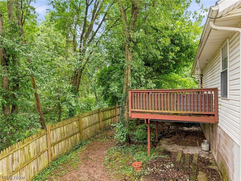1623 Isaac Trail, Akron, OH 44306 Photo 21