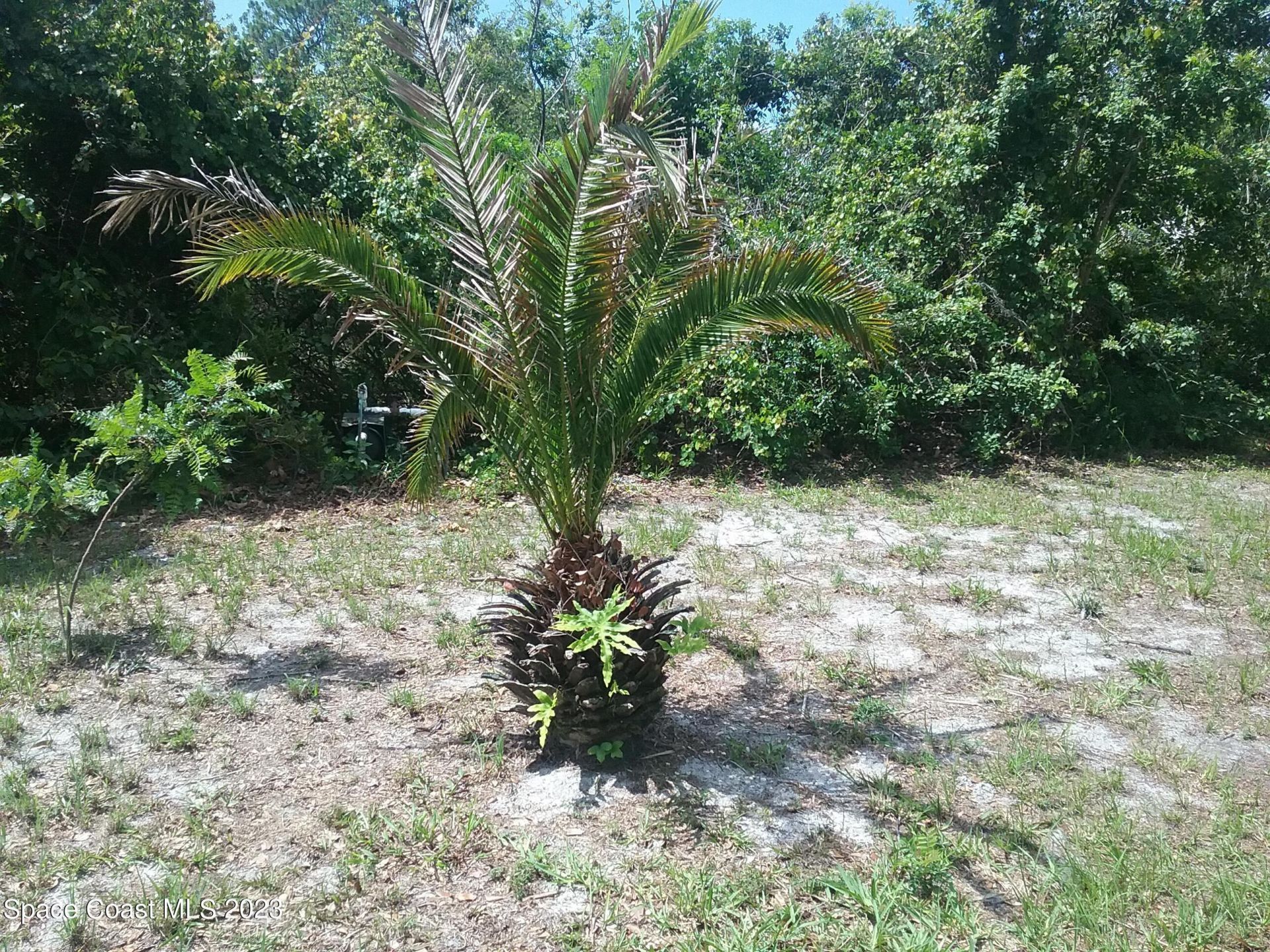 1609 Ridge Drive , Cocoa, FL 32926 Photo