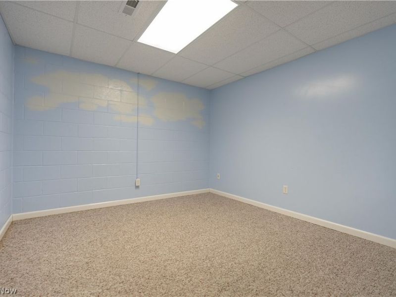 5341 Newton Falls Road, Ravenna, OH 44266 Photo 29