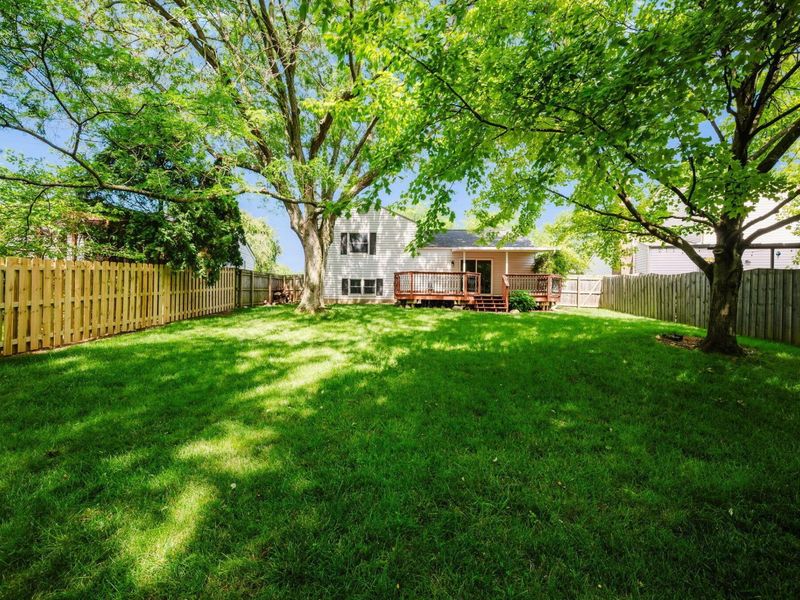 5570 Shannon Heights Boulevard, Dublin, OH 43016 Photo 52