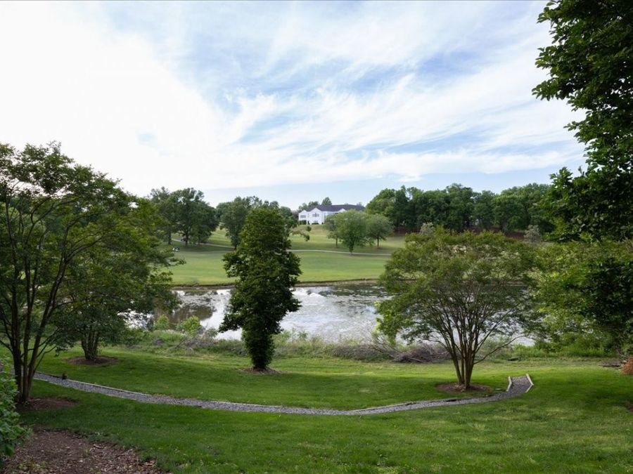 Property Image 88