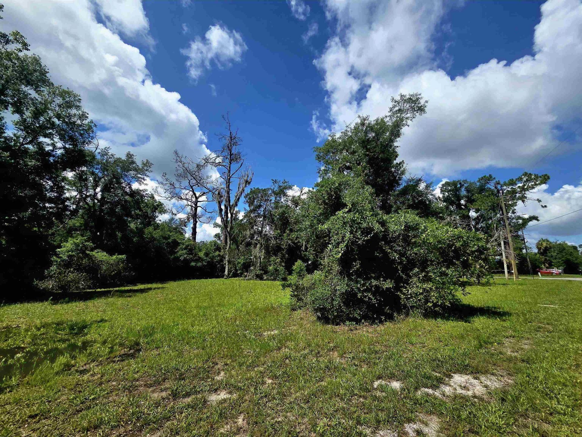 Lots 6-8 N Washington Street , Perry, FL 32347 Photo