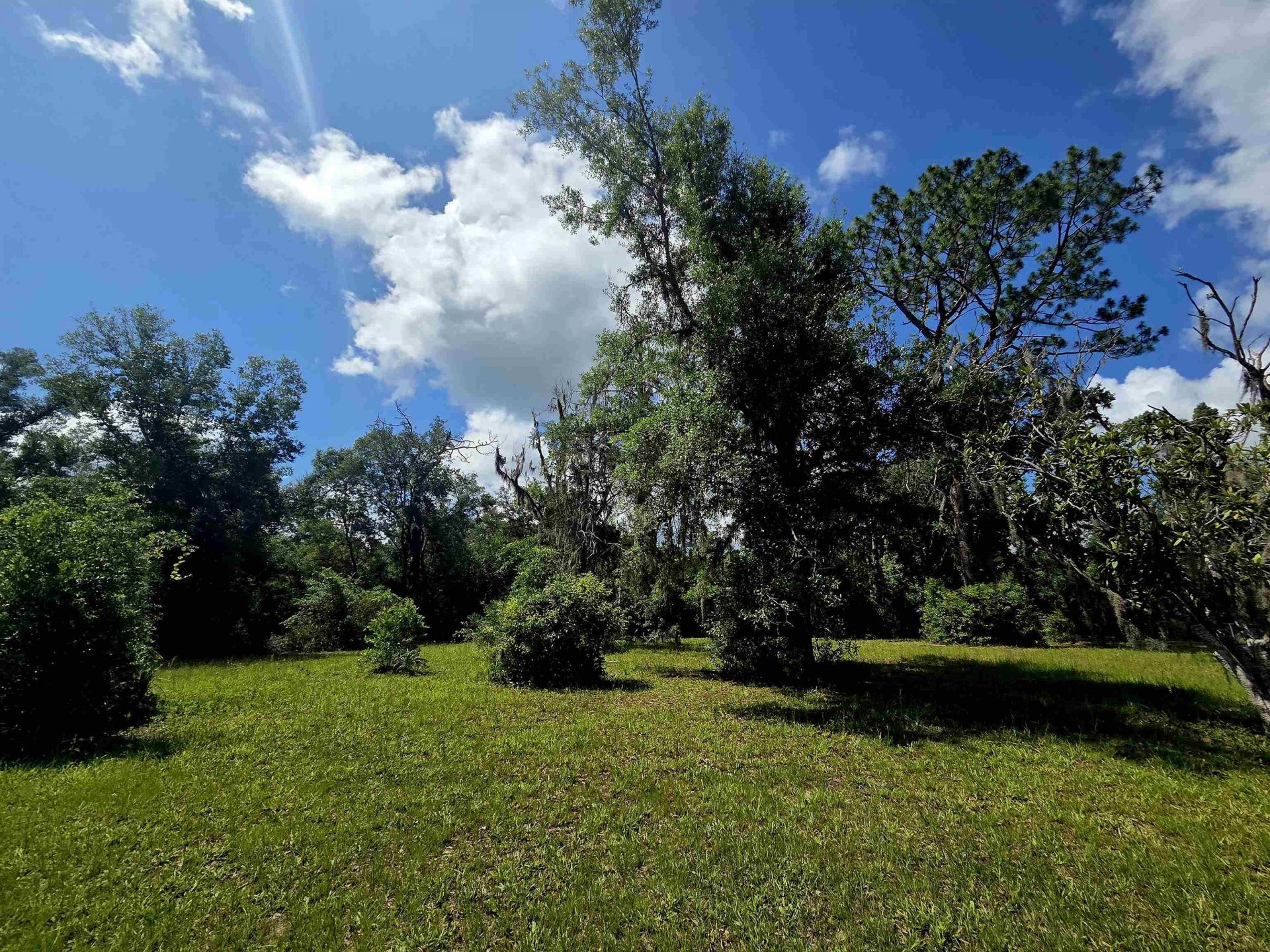 Lots 6-8 N Washington Street , Perry, FL 32347 Photo