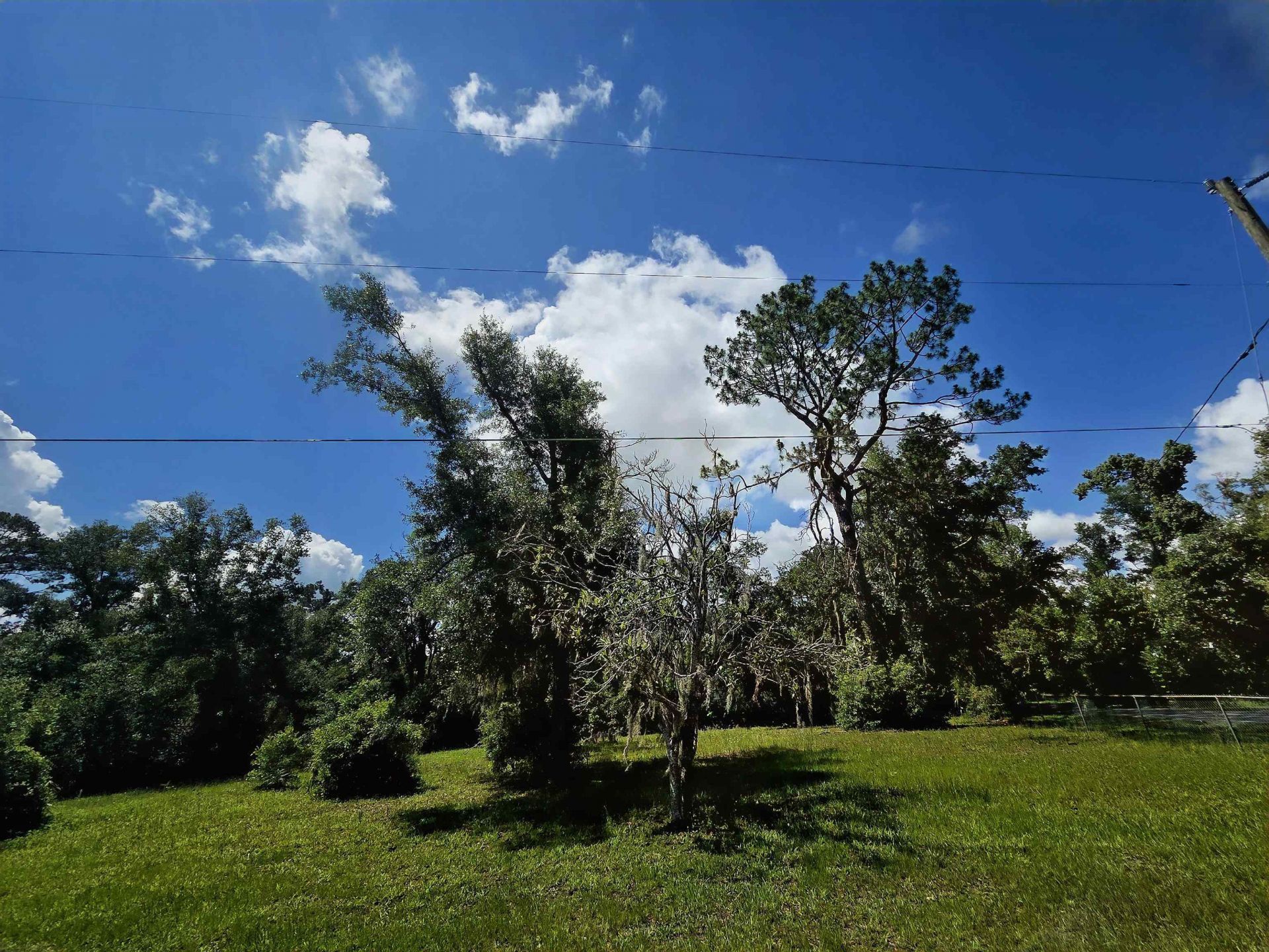 Lots 6-8 N Washington Street , Perry, FL 32347 Photo