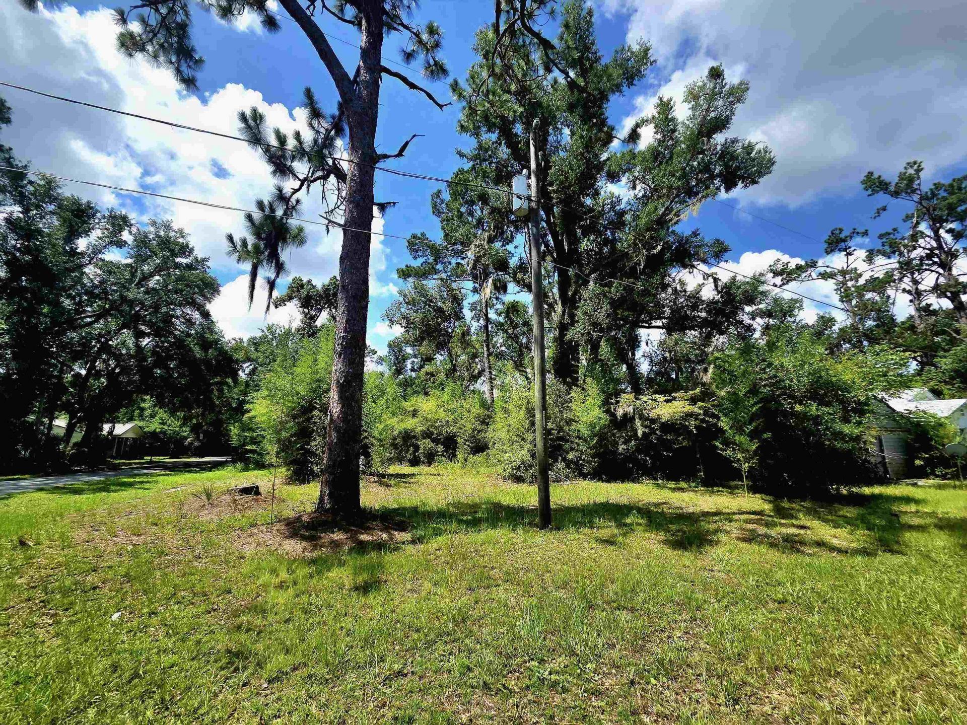 Lots 6-8 N Washington Street , Perry, FL 32347 Photo