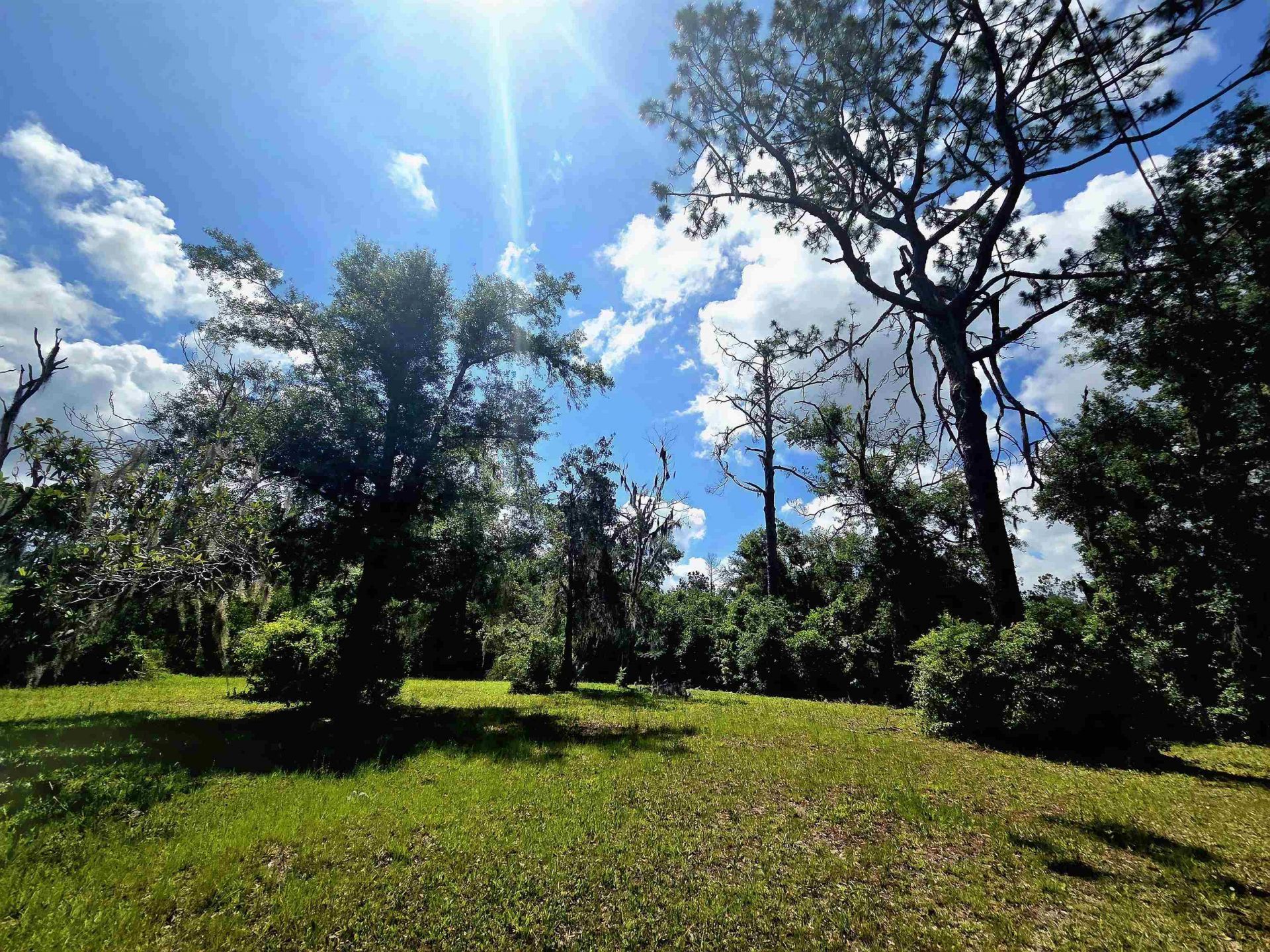 Lots 6-8 N Washington Street , Perry, FL 32347 Photo