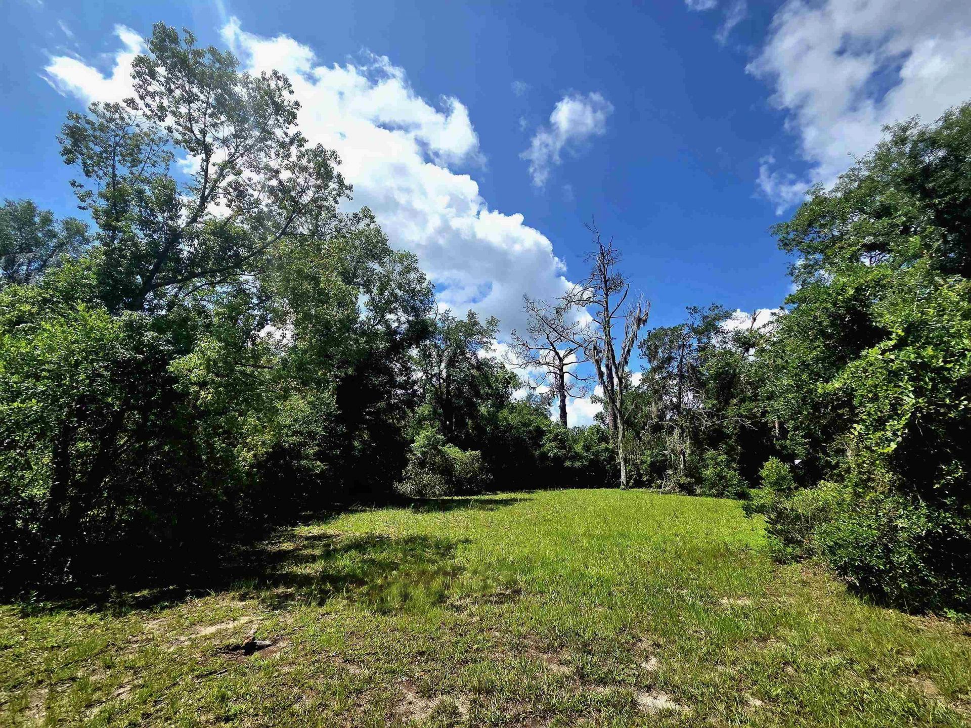 Lots 6-8 N Washington Street , Perry, FL 32347 Photo