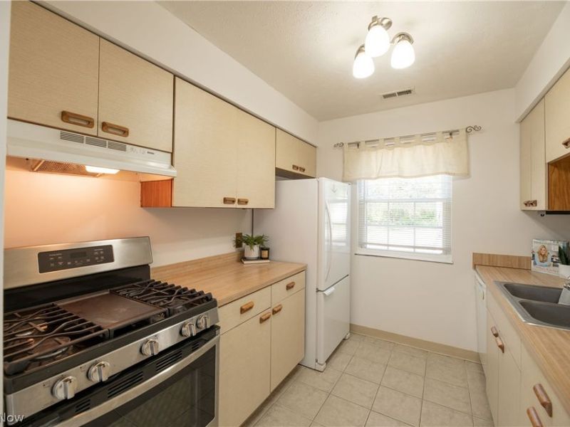 77 Firebush Lane, Northfield, OH 44067 Photo 8
