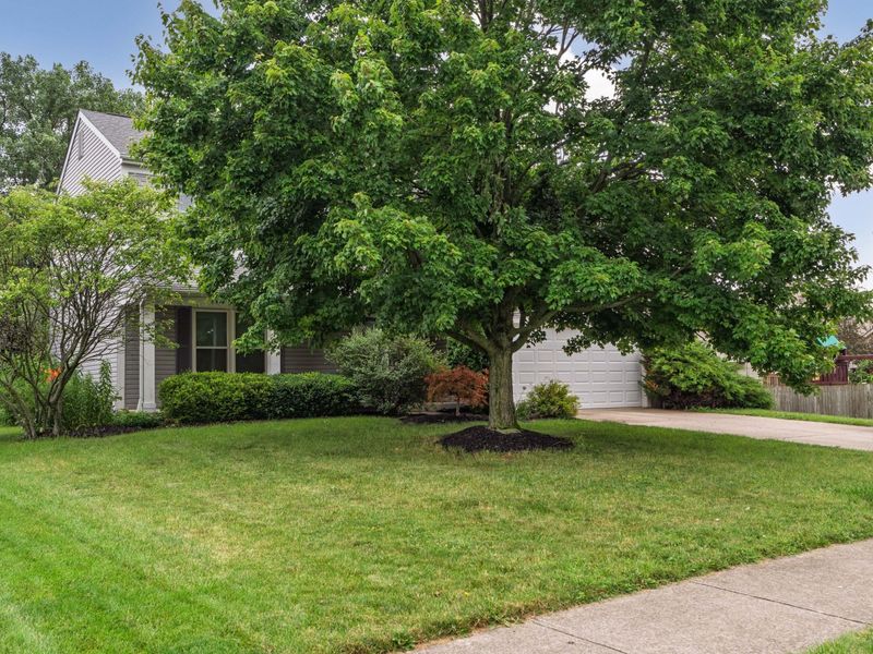 1901 Westwood Drive, Lewis Center, OH 43035 Photo 2