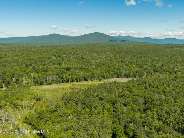 Tbd Buck Road, Stone Ridge, NY 12484
