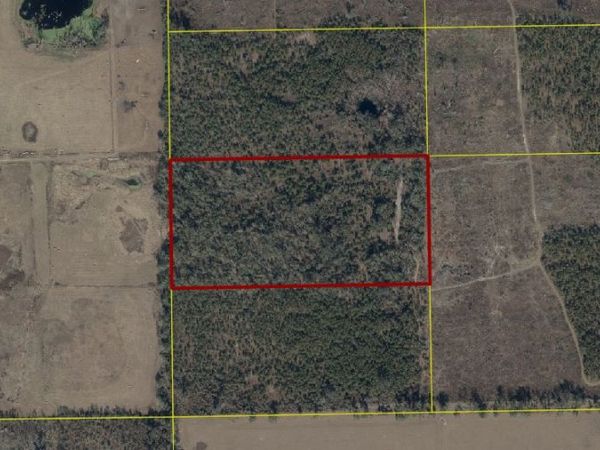 000 CR 132, Live Oak, FL 32060