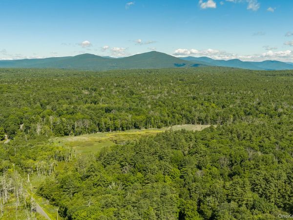 TBD Buck Road , Stone Ridge, NY 12484