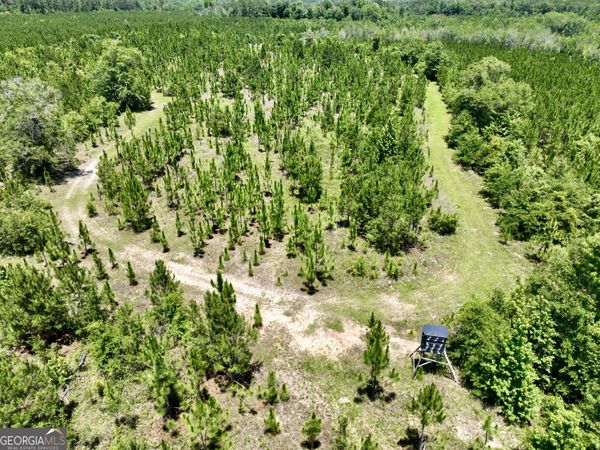 0 W. River Road, Rhine, GA 31077