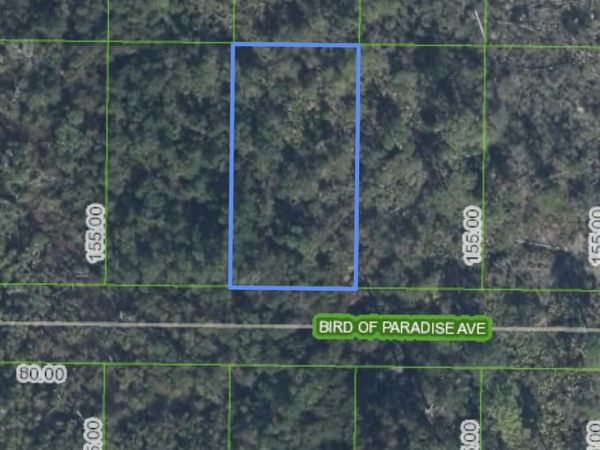 2330 Bird Of Paradise Avenue, Sebring, FL 33875