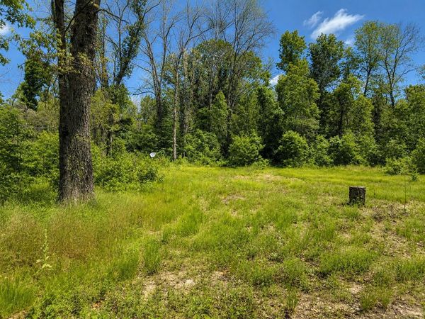 102 E Peoria Avenue, Idlewild, MI 49642