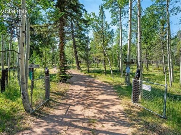 106 Forest Court, Guffey, CO 80820