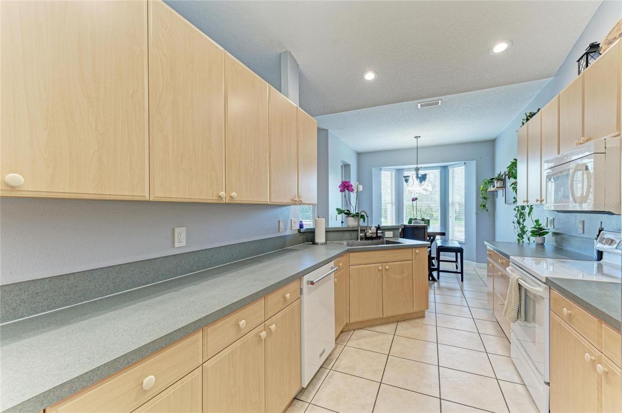 9110 64th Court E, Parrish, FL 34219 Photo