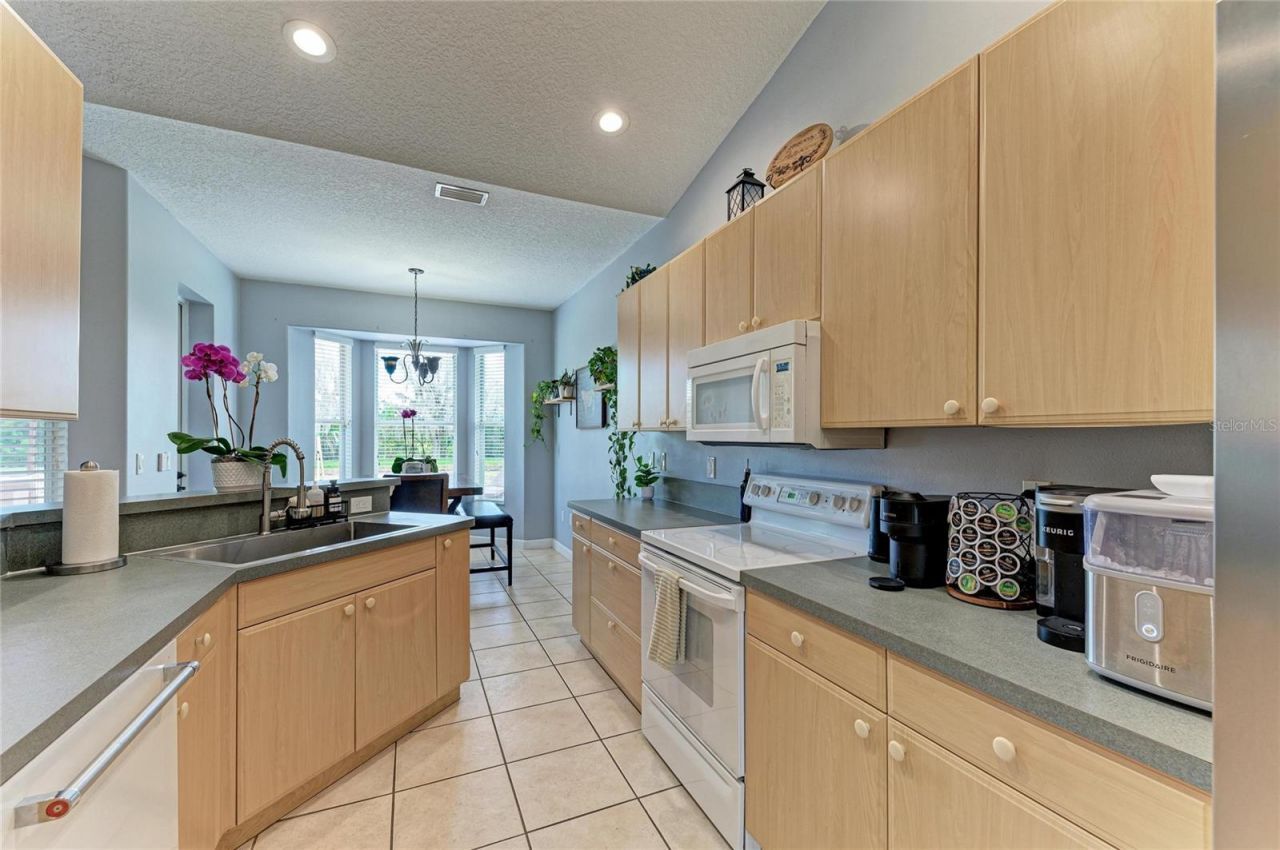 9110 64th Court E, Parrish, FL 34219 Photo