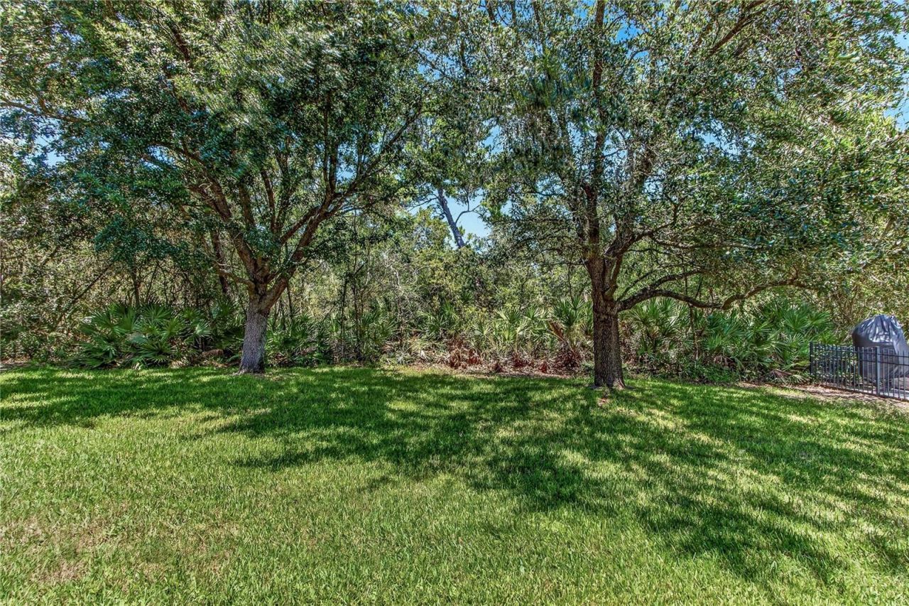 3198 Heirloom Rose Place , Oviedo, FL 32766 Photo
