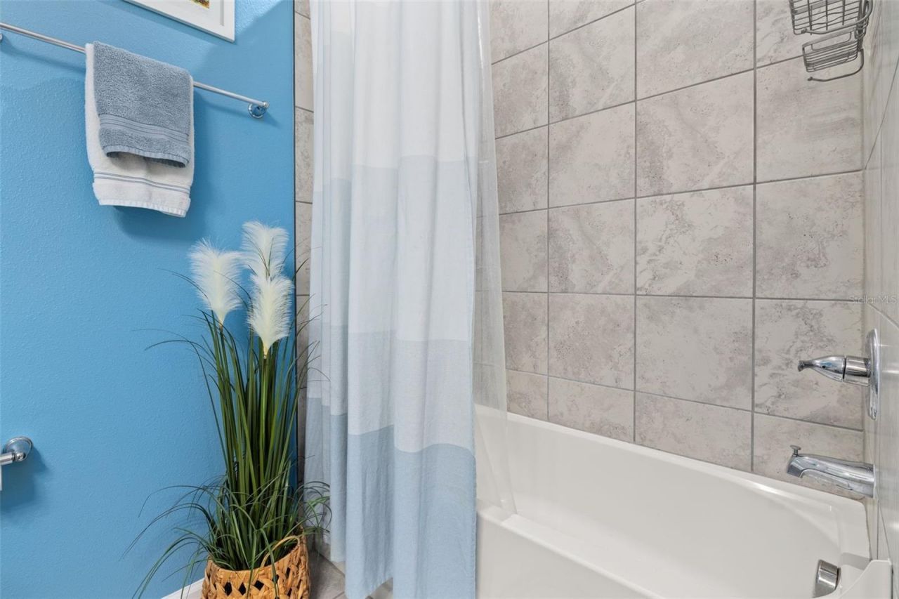 367 August Fern Loop , Mount Dora, FL 32757 Photo