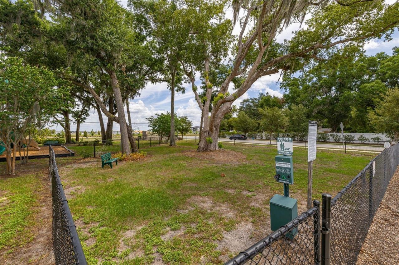 367 August Fern Loop , Mount Dora, FL 32757 Photo