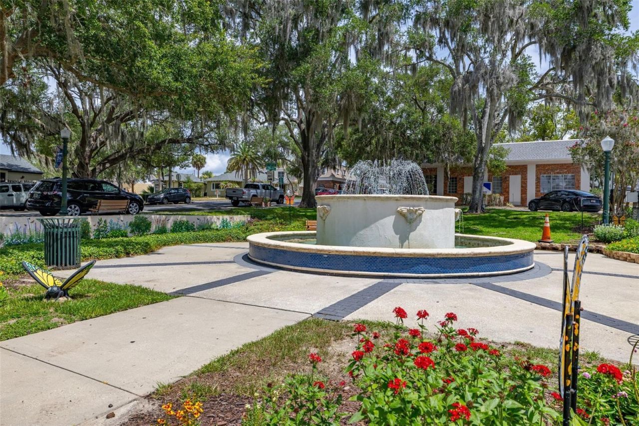 367 August Fern Loop , Mount Dora, FL 32757 Photo