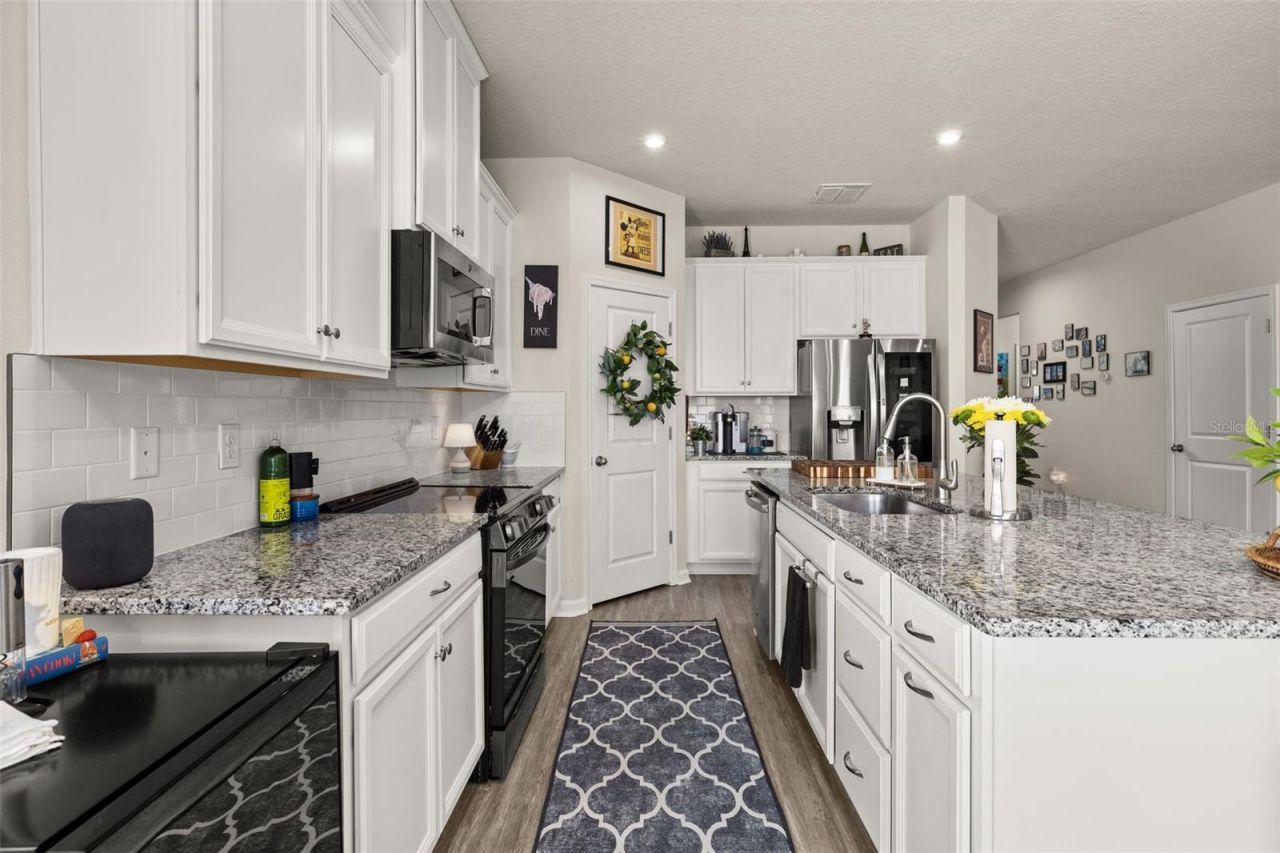 367 August Fern Loop , Mount Dora, FL 32757 Photo