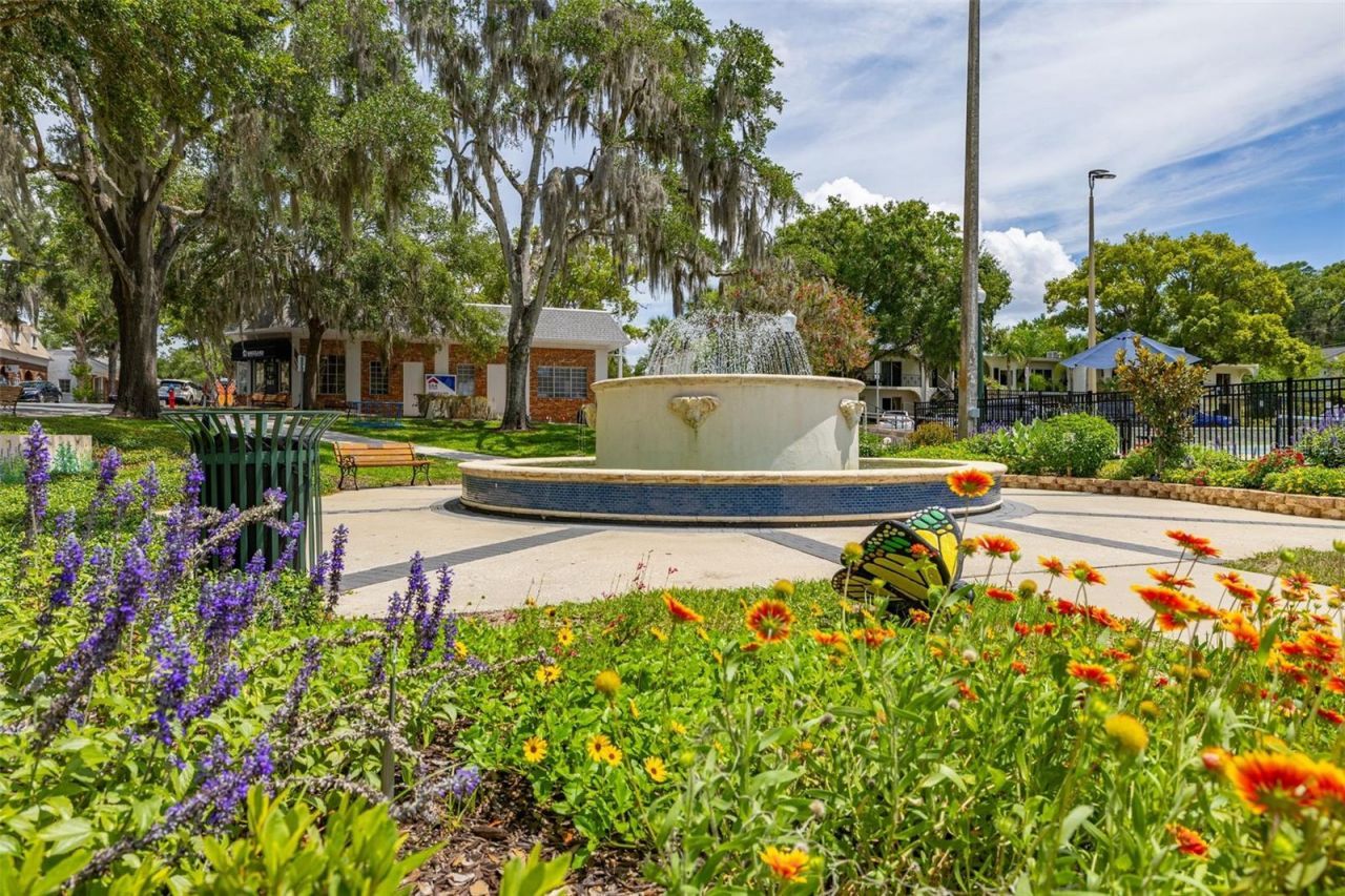 367 August Fern Loop , Mount Dora, FL 32757 Photo